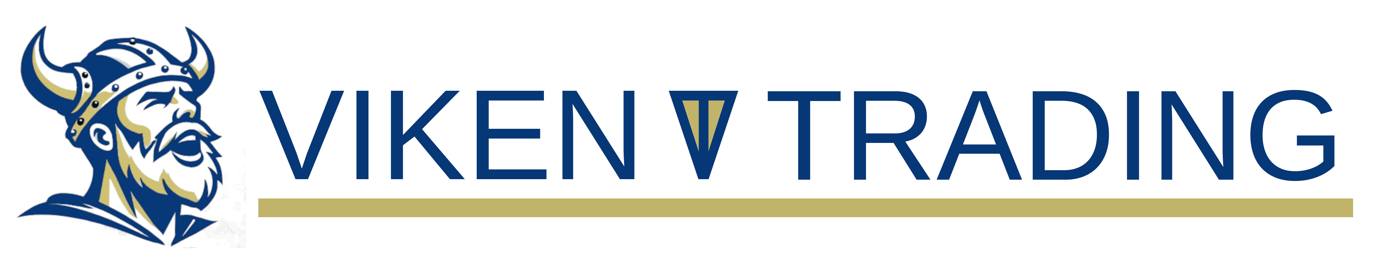 Viken Trading logo